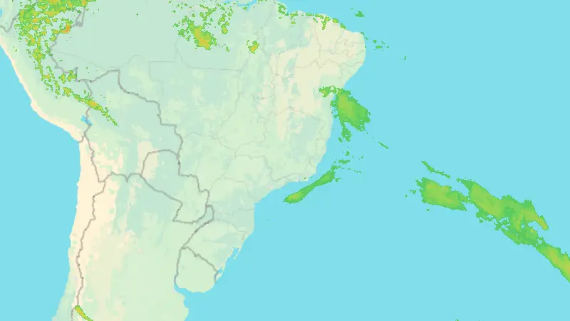 Precipitation weather map
