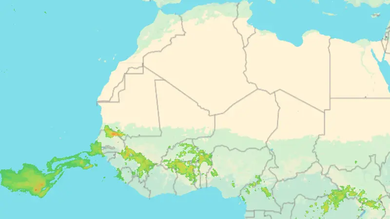 Niederschlag weather map
