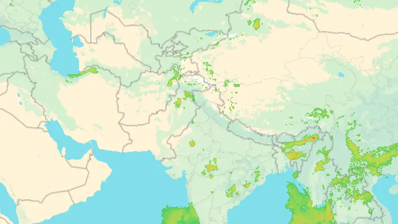 Precipitation weather map