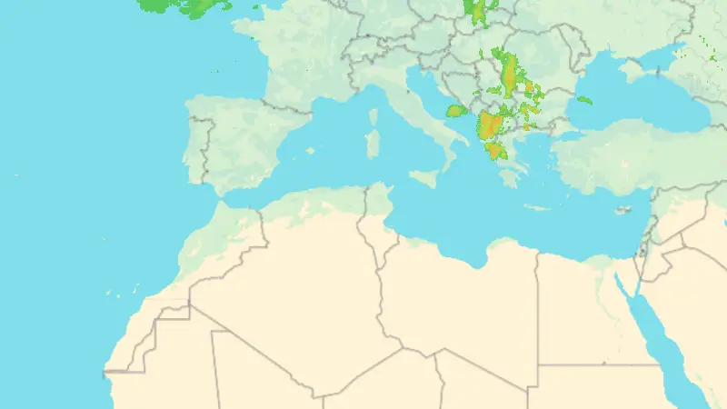 Precipitation weather map
