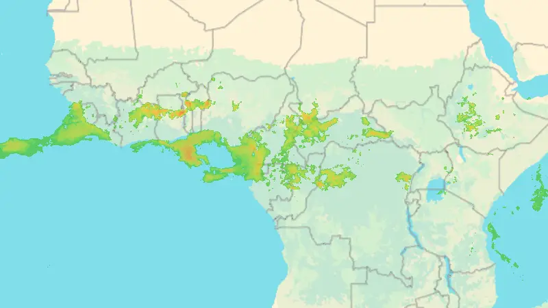 Precipitazioni weather map