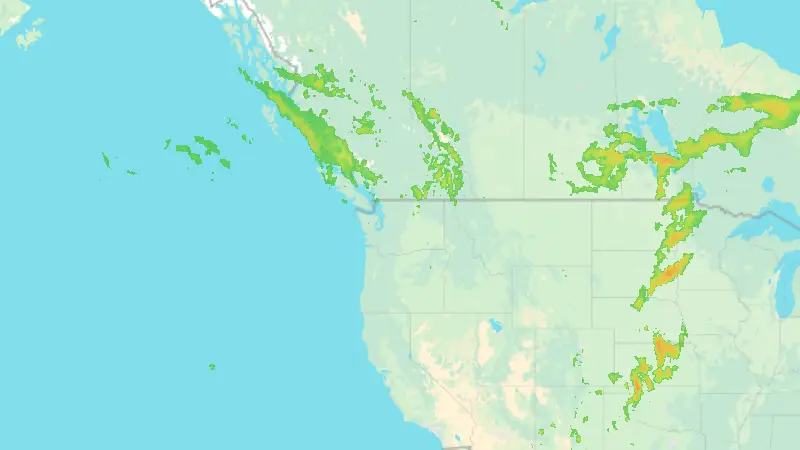 Precipitation weather map
