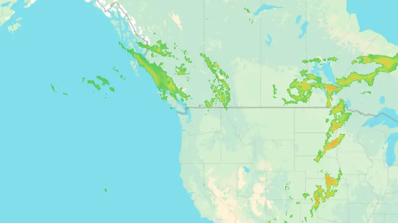 Précipitations weather map
