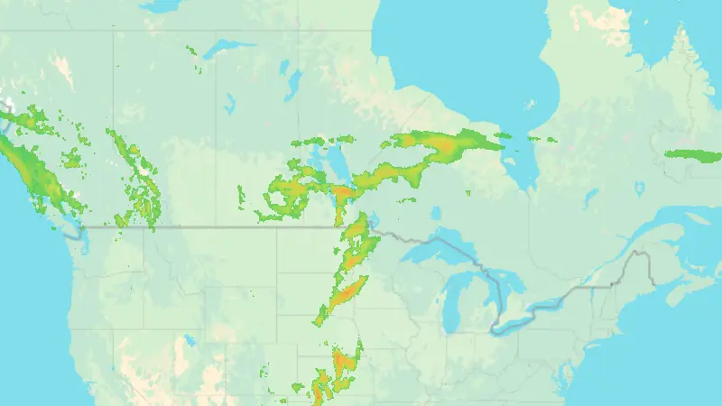 Precipitation weather map