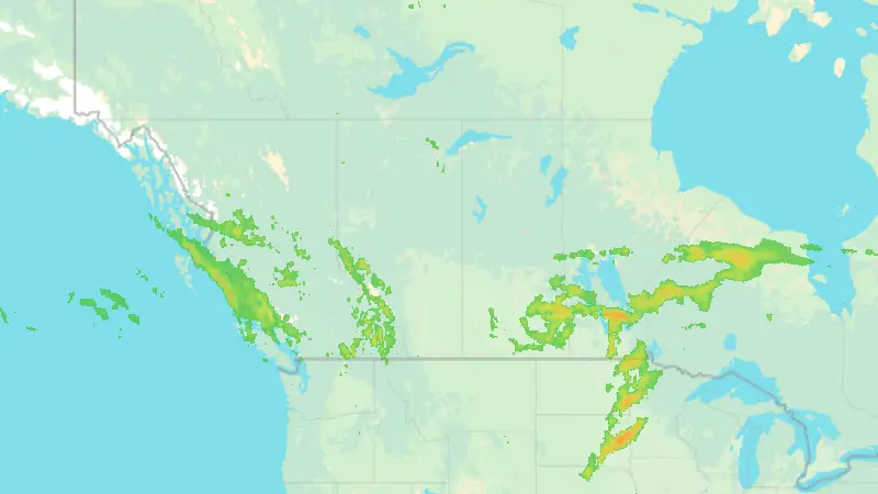 Precipitación weather map