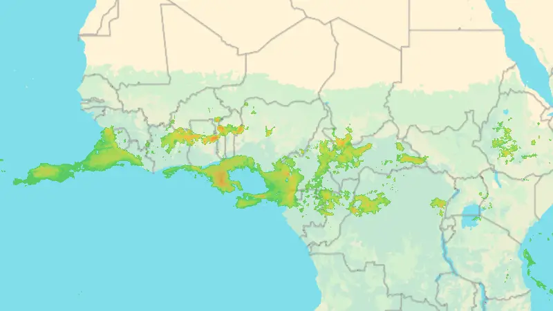 Precipitation weather map