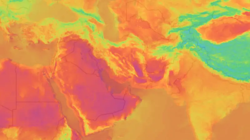 기온 weather map