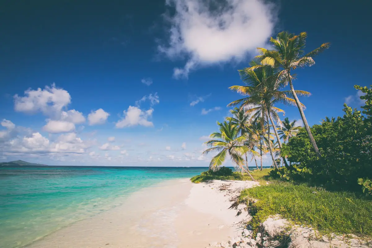 Winter Sun Escape: The Best Caribbean Destinations to Flee European Cold