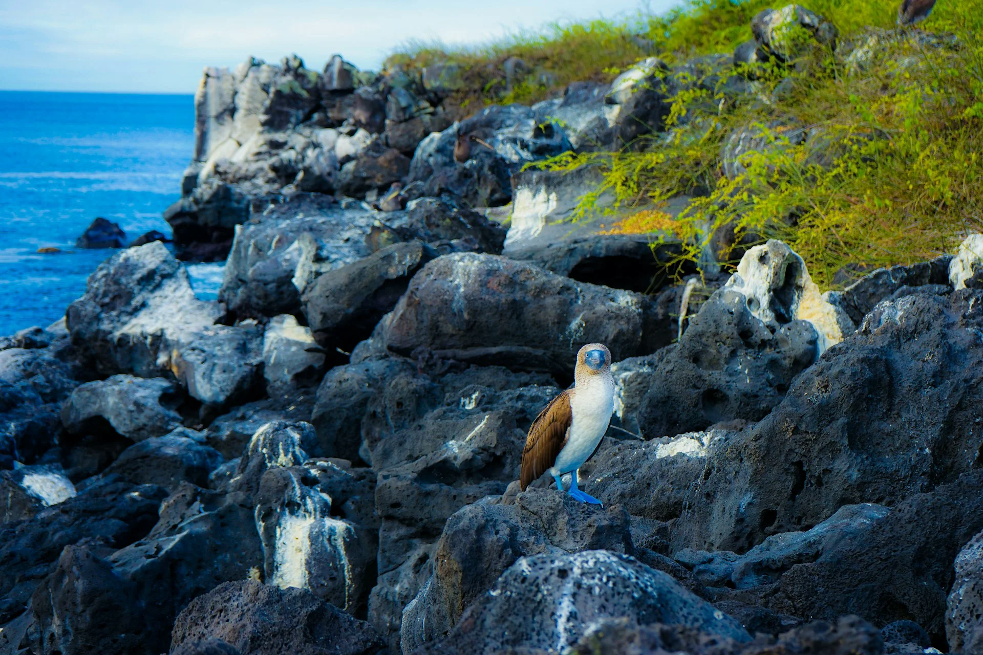 Snorkeling and Diving by Season