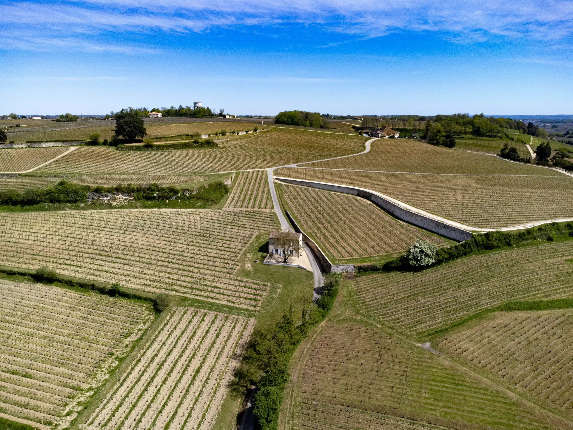 Bordeaux Hits 26°C: Vineyards Finally Breathe After April's Cold Snap